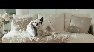 Ergorapido Generation III - Freedom of Cleaning